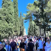 Domingo de Ramos Alberic Domingo de Ramos Alberic