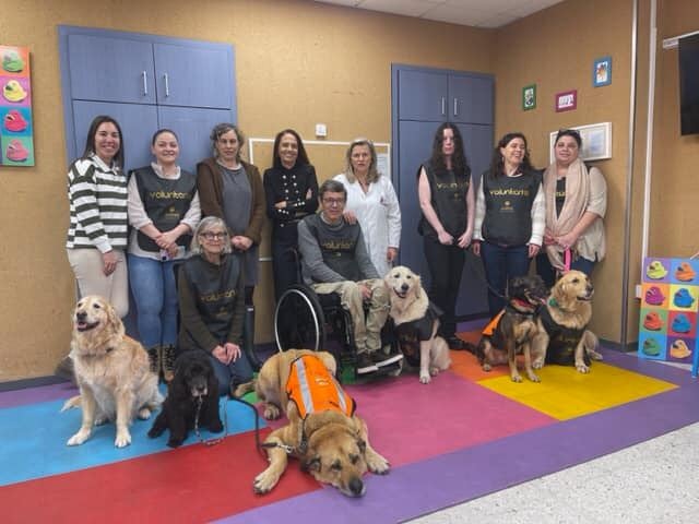 La Fundación Andrea incorpora en el Hospital Clínico de Santiago un nuevo servicio de terapia asistida con perros para apoyo de los niños ingresados. La Fundación Andrea incorpora en el Hospital Clínico de Santiago un nuevo servicio de terapia asistida con perros para apoyo de los niños ingresados.