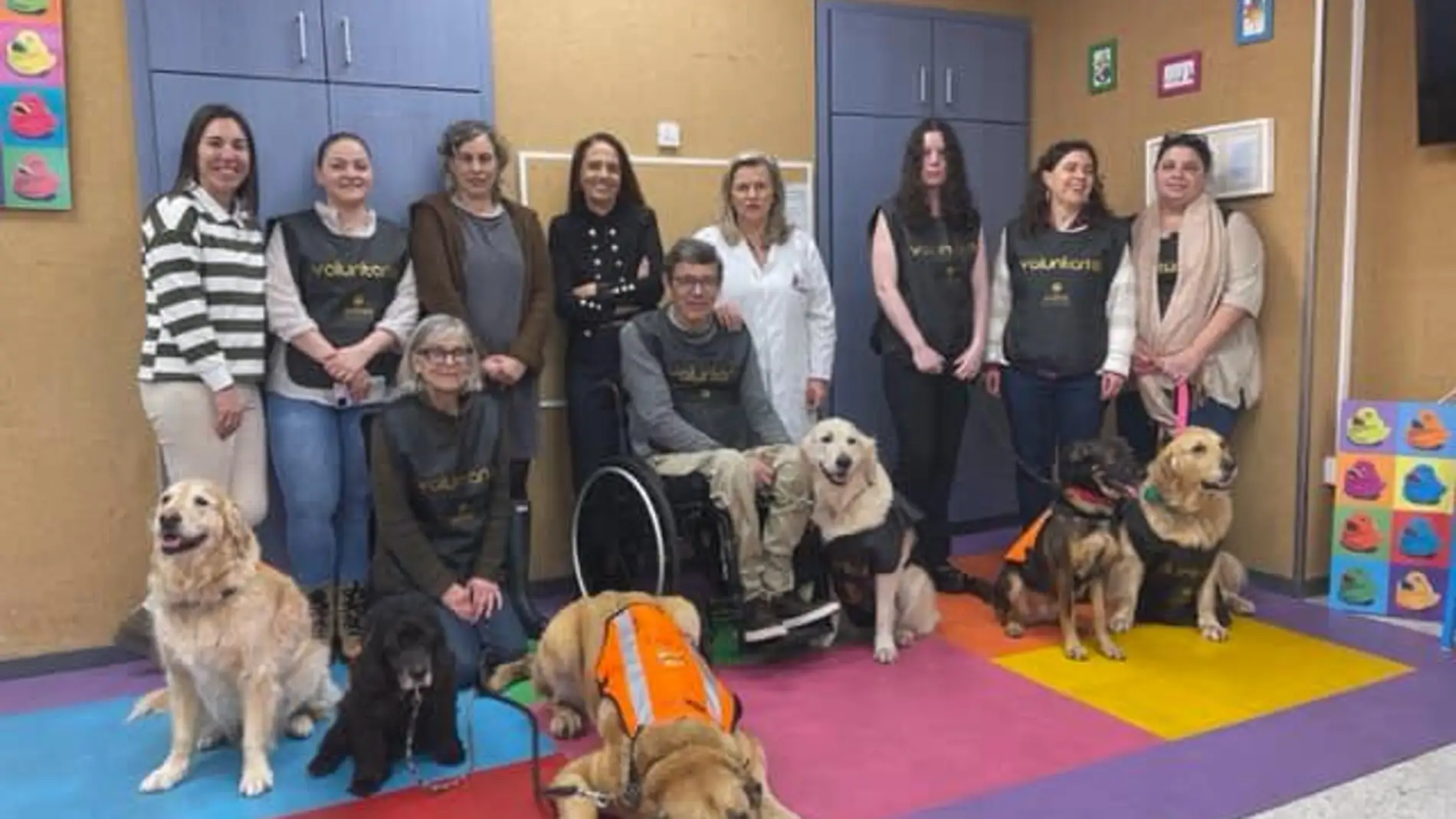 La Fundación Andrea incorpora en el Hospital Clínico de Santiago un nuevo servicio de terapia asistida con perros para apoyo de los niños ingresados.
