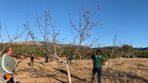 Tierras en proceso de recuperaci&oacute;n de la cooperarativa de Viver. 