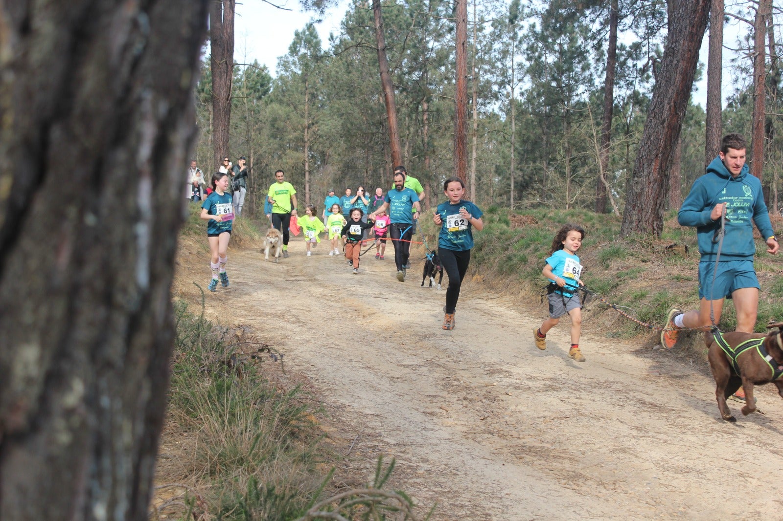 La federación asturiana avanza en sus campeonatos La federación asturiana avanza en sus campeonatos