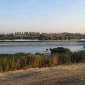 Se busca a un menor de 13 años desaparecido en el río Guadiana a su paso por Badajoz en la zona de Las Crispitas