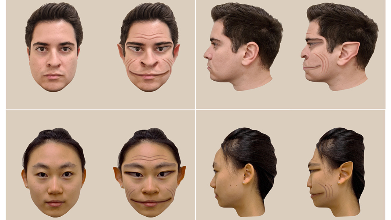 La enfermedad que te hace ver 'demonios': un nuevo estudio muestra cómo es vivir con este síndrome La enfermedad que te hace ver 'demonios': un nuevo estudio muestra cómo es vivir con este síndrome