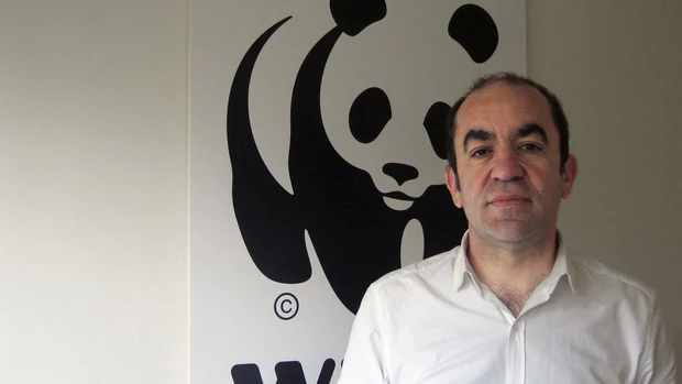 Imagen de archivo del secretario general de WWF, Juan Carlos del Olmo. 