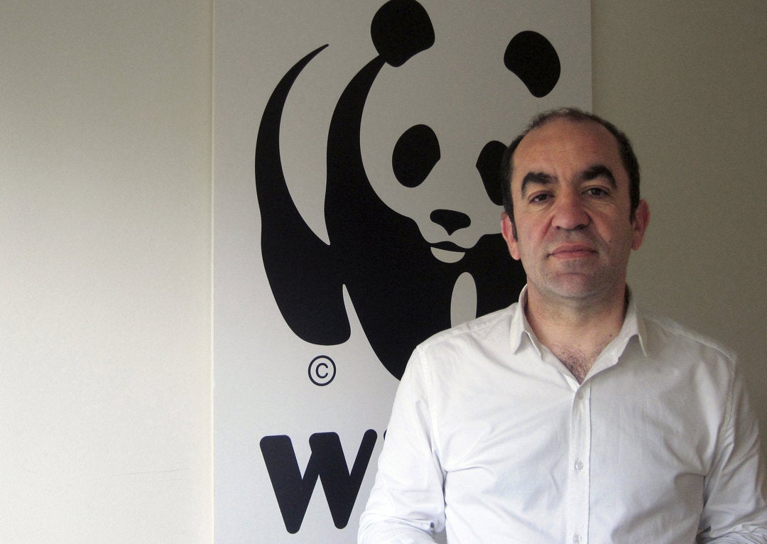 Juan Carlos del Olmo, secretario general de WWF: "España está en la zona cero del cambio climático" Juan Carlos del Olmo, secretario general de WWF: "España está en la zona cero del cambio climático"