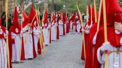 Domingo de Ramos en Mérida