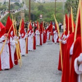 Domingo de Ramos en Mérida