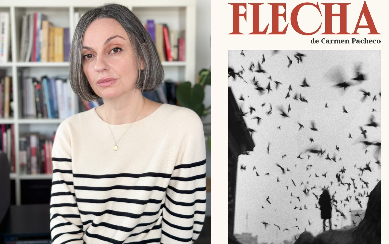 La flecha de Carmen Pacheco: un pequeño refugio dentro de internet La flecha de Carmen Pacheco: un pequeño refugio dentro de internet