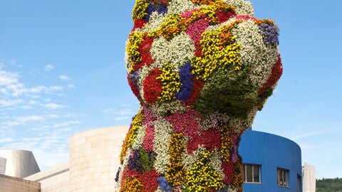 puppy en la explanada del museo