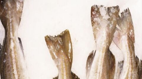 La historia del bacalao en nuestra gastronom&iacute;a