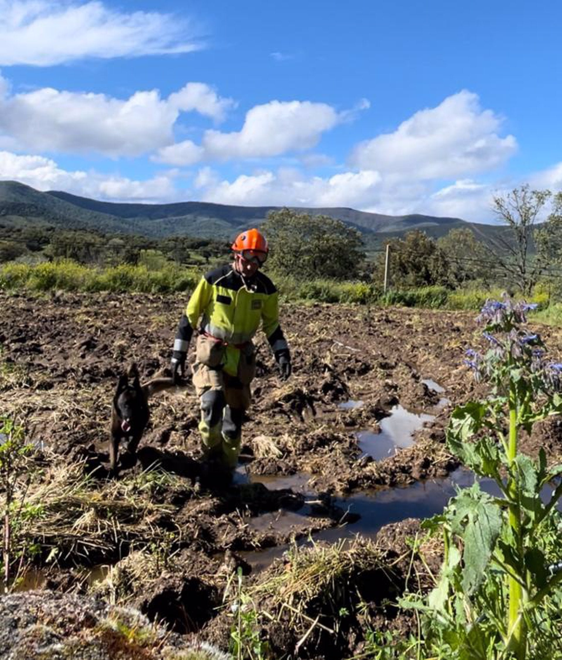 Buscan a José Gómez, vecino de 74 años de Logrosán, que permanece desaparecido desde este pasado sábado Buscan a José Gómez, vecino de 74 años de Logrosán, que permanece desaparecido desde este pasado sábado