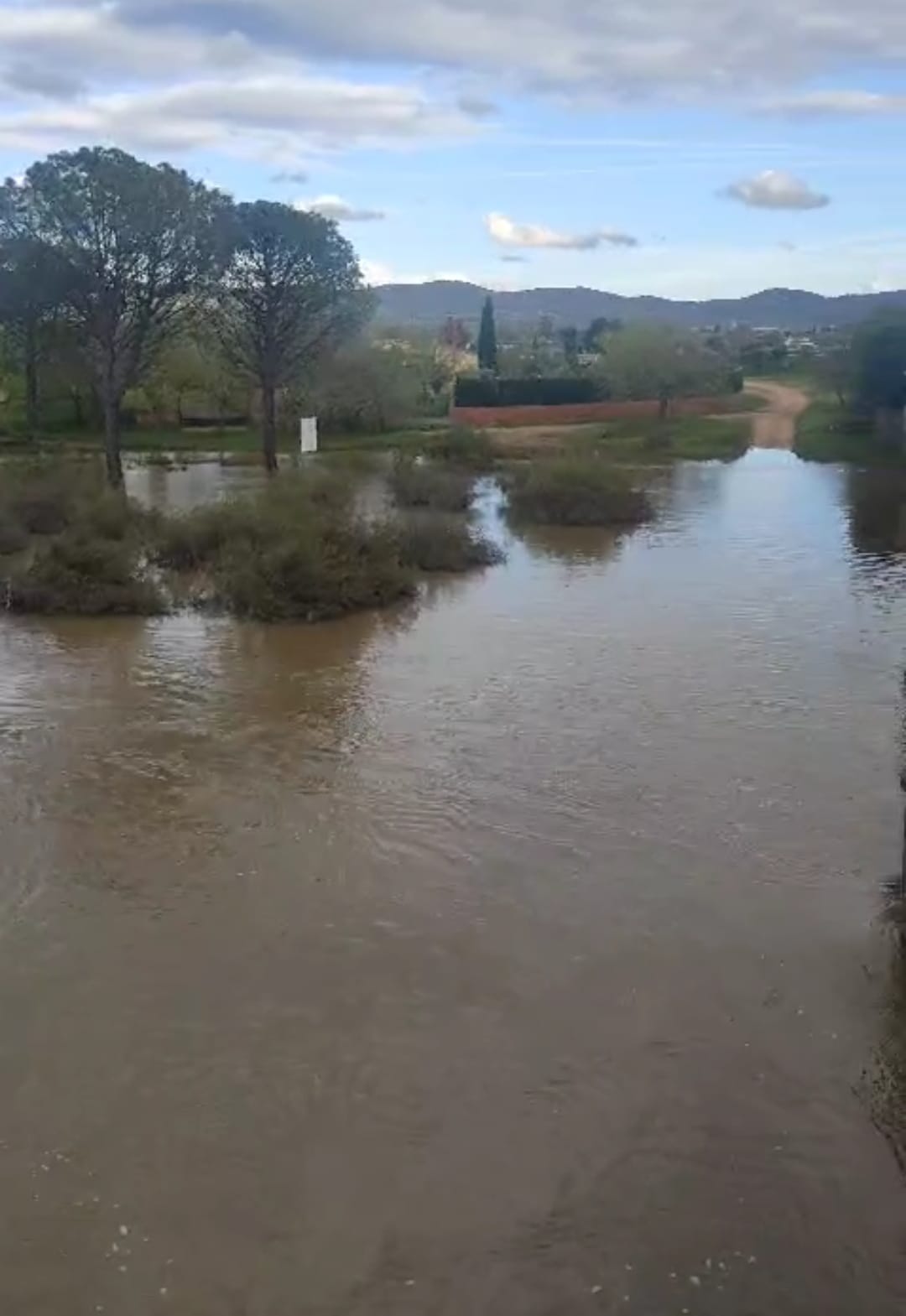 Los embalse de la provincia de Ciudad Real pasan de emergencia por sequía a situación de casi normalidad Los embalse de la provincia de Ciudad Real pasan de emergencia por sequía a situación de casi normalidad