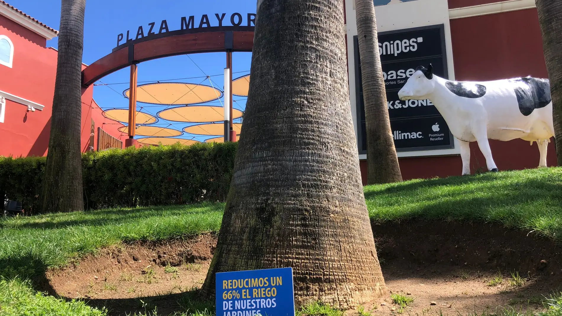 Plaza Mayor pone en marcha su nuevo plan anti-sequía para controlar el consumo de agua 