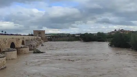 agua agua