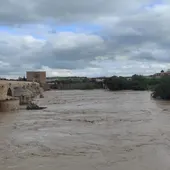 agua agua