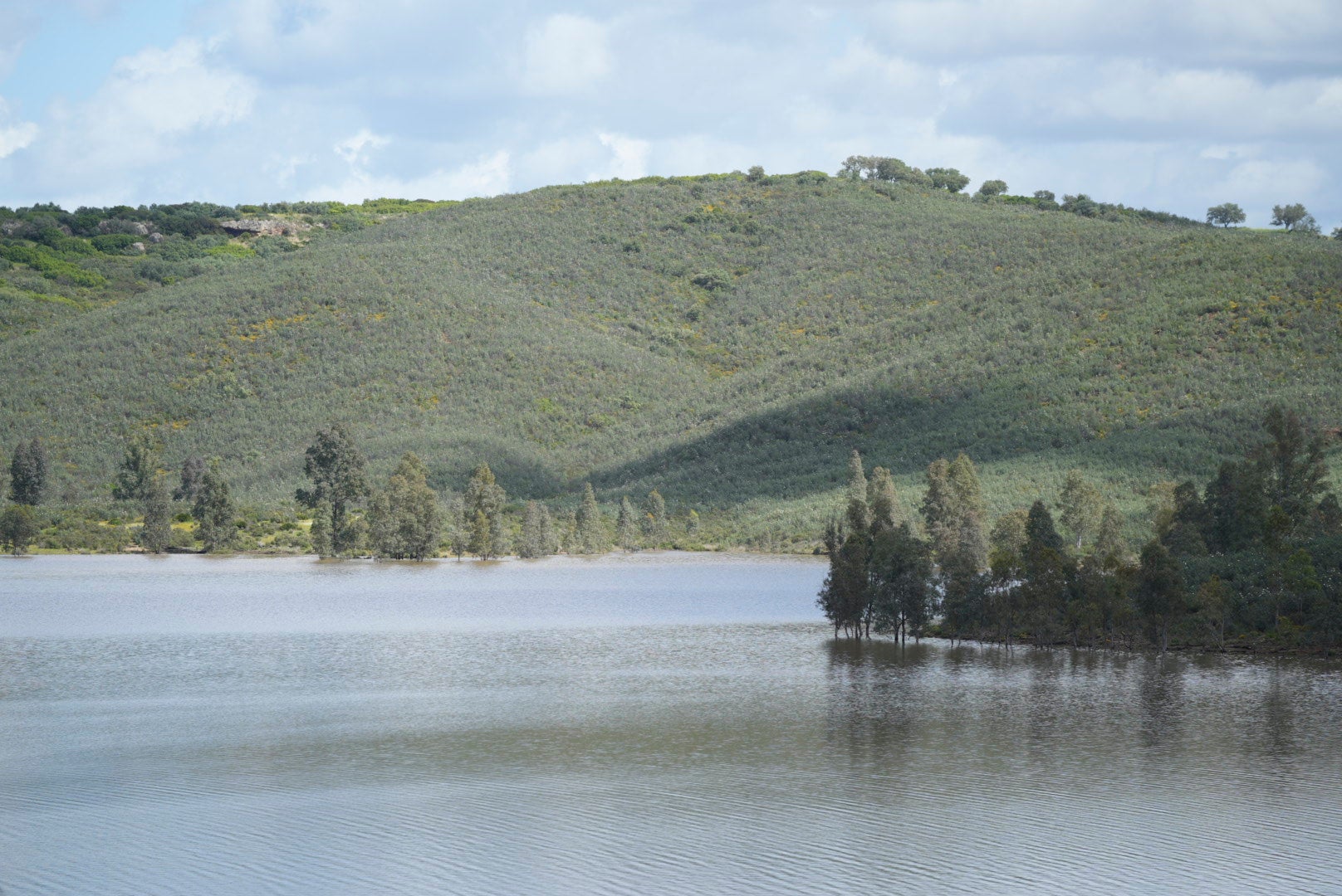 Las lluvias de Semana Santa alivian la sequía y la reserva de agua sube hasta el 63,1 % Las lluvias de Semana Santa alivian la sequía y la reserva de agua sube hasta el 63,1 %