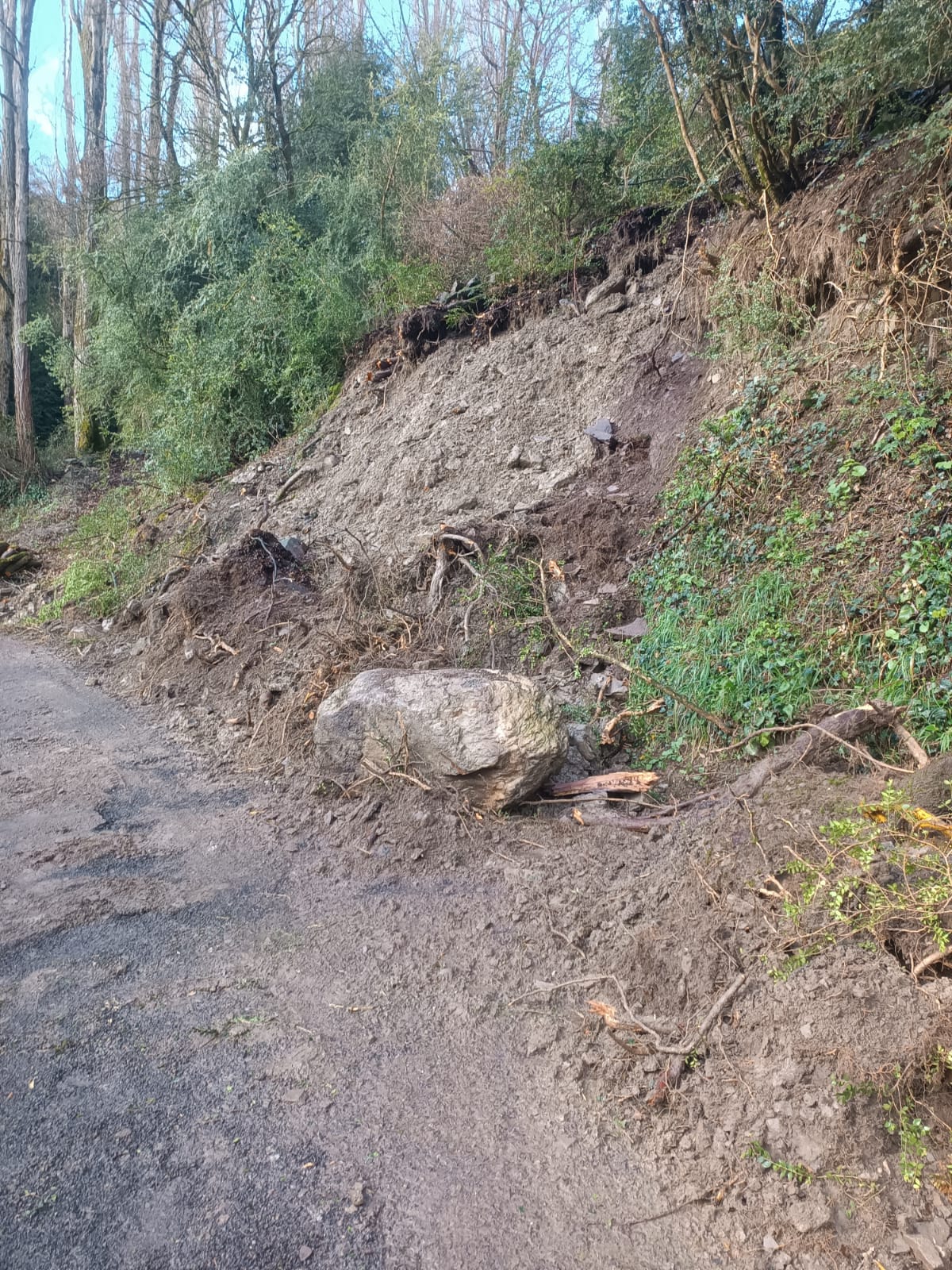 Este jueves se llevará a cabo la limpieza del acceso a Arguisal Este jueves se llevará a cabo la limpieza del acceso a Arguisal