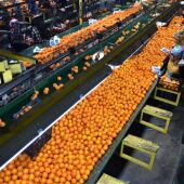 La Unió denuncia un aumento del 90% de las alertas sanitarias en productos hortofrutícolas importados