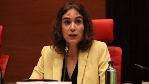 La consellera de Just&iacute;cia, Gemma Ubasart, en la seva darrera compareixen&ccedil;a al Parlament