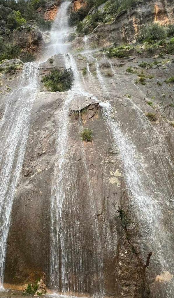La Junta de Andalucía insiste en la prudencia tras las lluvias: "Aunque llueva una semana llevamos seis años acumulando una sequía" La Junta de Andalucía insiste en la prudencia tras las lluvias: "Aunque llueva una semana llevamos seis años acumulando una sequía"