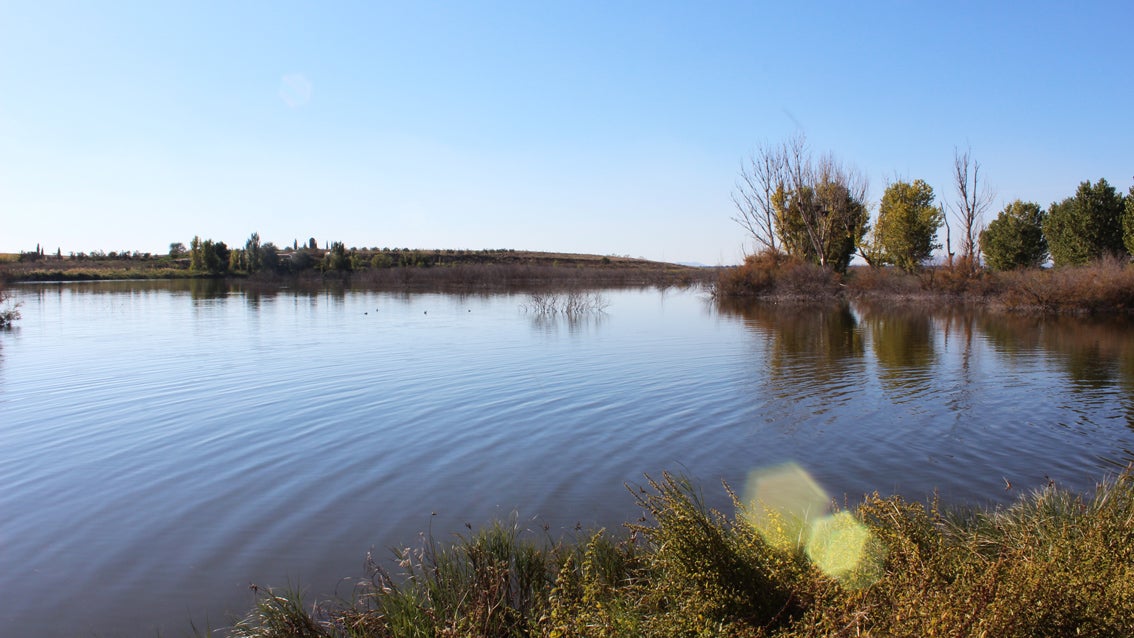 Coca-Cola apuesta por las nuevas tecnologías para regenerar el agua residual de sus procesos y asegurar su uso en la agricultura Coca-Cola apuesta por las nuevas tecnologías para regenerar el agua residual de sus procesos y asegurar su uso en la agricultura