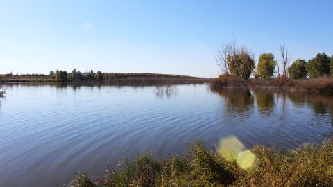 Coca-Cola apuesta por las nuevas tecnolog&iacute;as para regenerar el agua residual de sus procesos y asegurar su uso en la agricultura