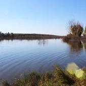 Coca-Cola apuesta por las nuevas tecnologías para regenerar el agua residual de sus procesos y asegurar su uso en la agricultura Coca-Cola apuesta por las nuevas tecnologías para regenerar el agua residual de sus procesos y asegurar su uso en la agricultura
