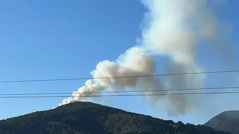 El primer gran incendio del 2024 en Ibiza quema 9.000 metros cuadrados de masa forestal El primer gran incendio del 2024 en Ibiza quema 9.000 metros cuadrados de masa forestal