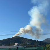El primer gran incendio del 2024 en Ibiza quema 9.000 metros cuadrados de masa forestal 
