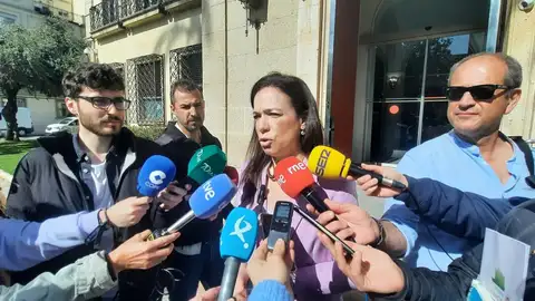 La consejera de Salud y Servicios Sociales, Sara García Espada, atiende a los medios en Badajoz La consejera de Salud y Servicios Sociales, Sara García Espada, atiende a los medios en Badajoz
