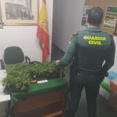 La Guardia Civil de Palencia detiene a dos personas por tráfico de drogas en Aguilar de Campoo