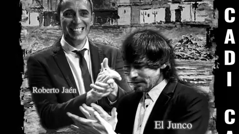 Junco Junco