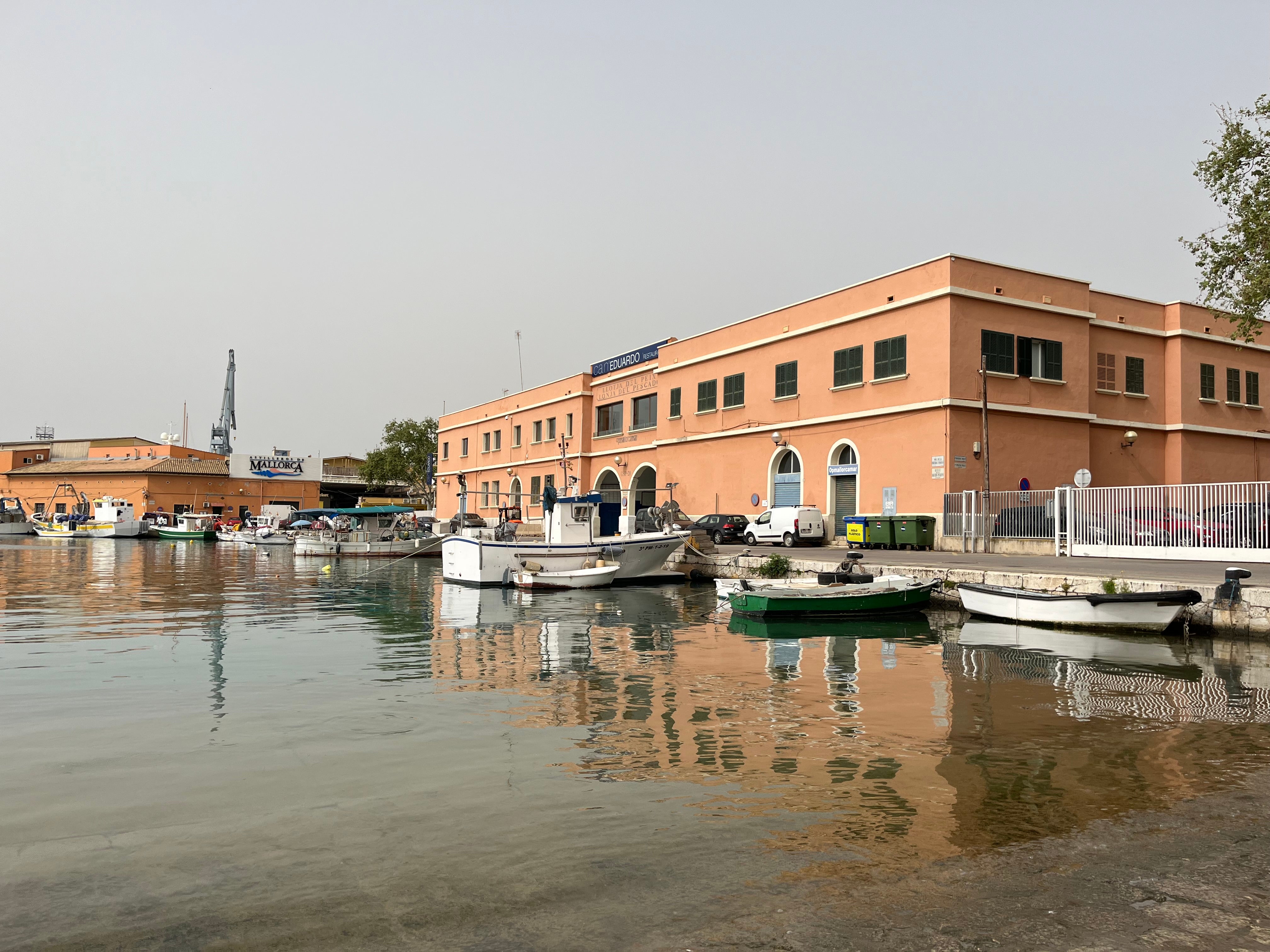 Los pescadores celebran su patrona y piden "más información" sobre su actividad Los pescadores celebran su patrona y piden "más información" sobre su actividad