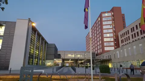 Ingresada en el hospital Río Carrión tras ser mordida por el perro de su expareja .