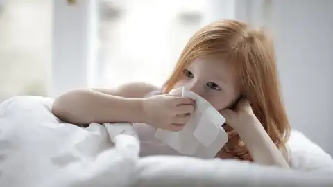 ¿Por qué aumentan los casos de alergias? La clave está en la microbiota ¿Por qué aumentan los casos de alergias? La clave está en la microbiota