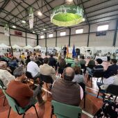 La Junta destaca el incremento de casi un 30% en las hectáreas destinadas al olivar ecológico