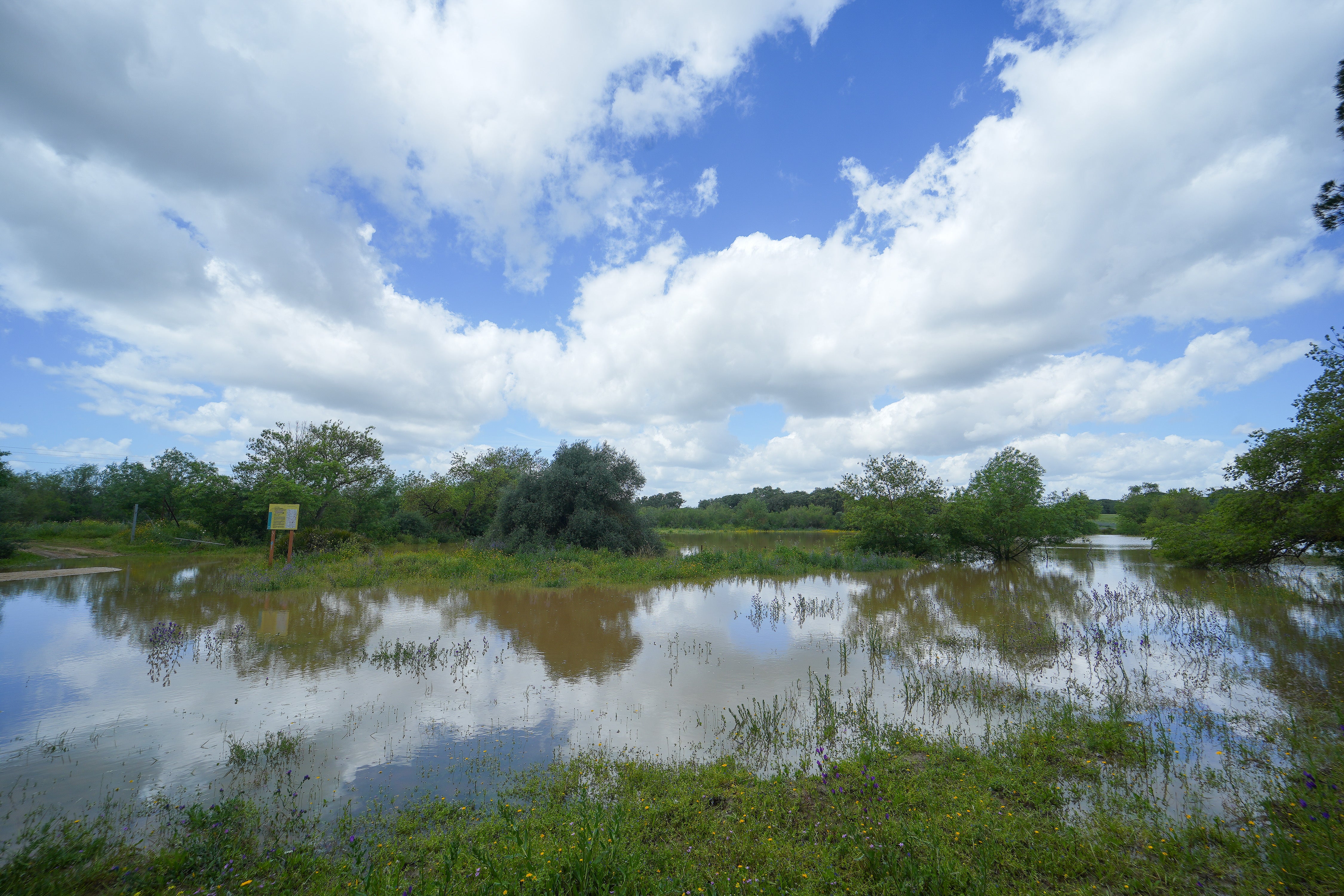 Pierrick entra en la Península: los efectos de la borrasca se empezarán a notar desde el martes Pierrick entra en la Península: los efectos de la borrasca se empezarán a notar desde el martes