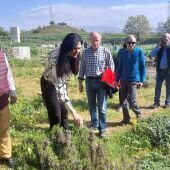 Huesca impulsará huertos urbanos dentro de un proyecto de regeneración del Isuela