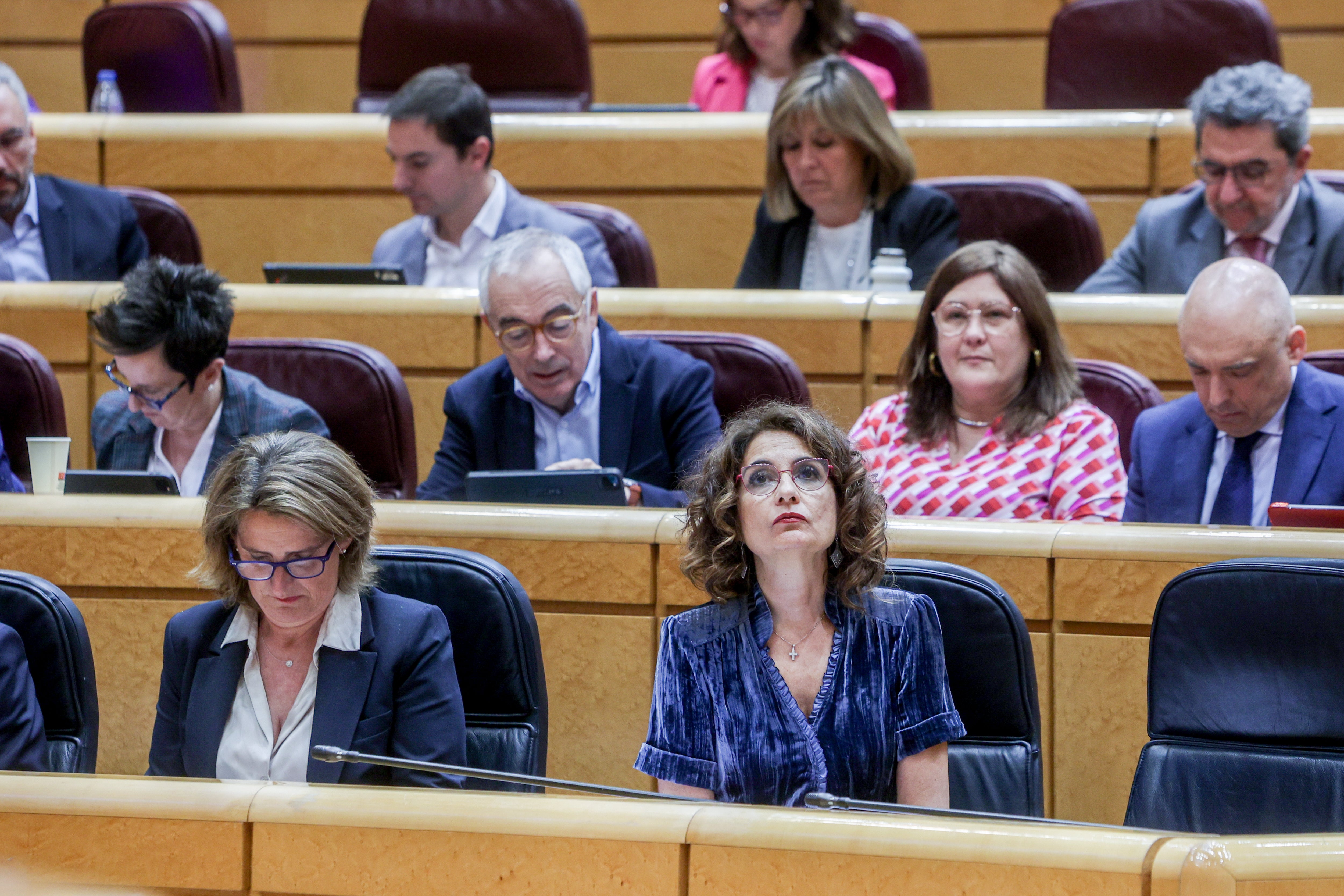 La portavoz del PP en el Senado amenaza con llamar a comparecer a Sánchez y a Begoña Gómez La portavoz del PP en el Senado amenaza con llamar a comparecer a Sánchez y a Begoña Gómez