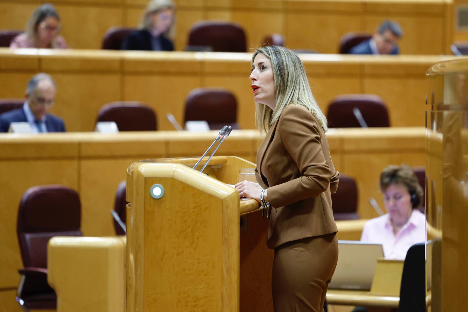Guardiola defiende en el Senado la unión del Estado frente a "la ruptura y el ataque a nuestra Constitución" que supone la amnistía Guardiola defiende en el Senado la unión del Estado frente a "la ruptura y el ataque a nuestra Constitución" que supone la amnistía