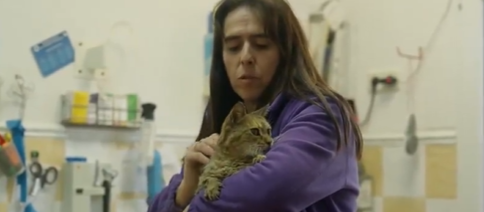Adopta en JELO: La historia de la gata Chincheta Adopta en JELO: La historia de la gata Chincheta