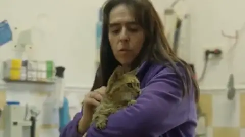 La gatita Chincheta La gatita Chincheta
