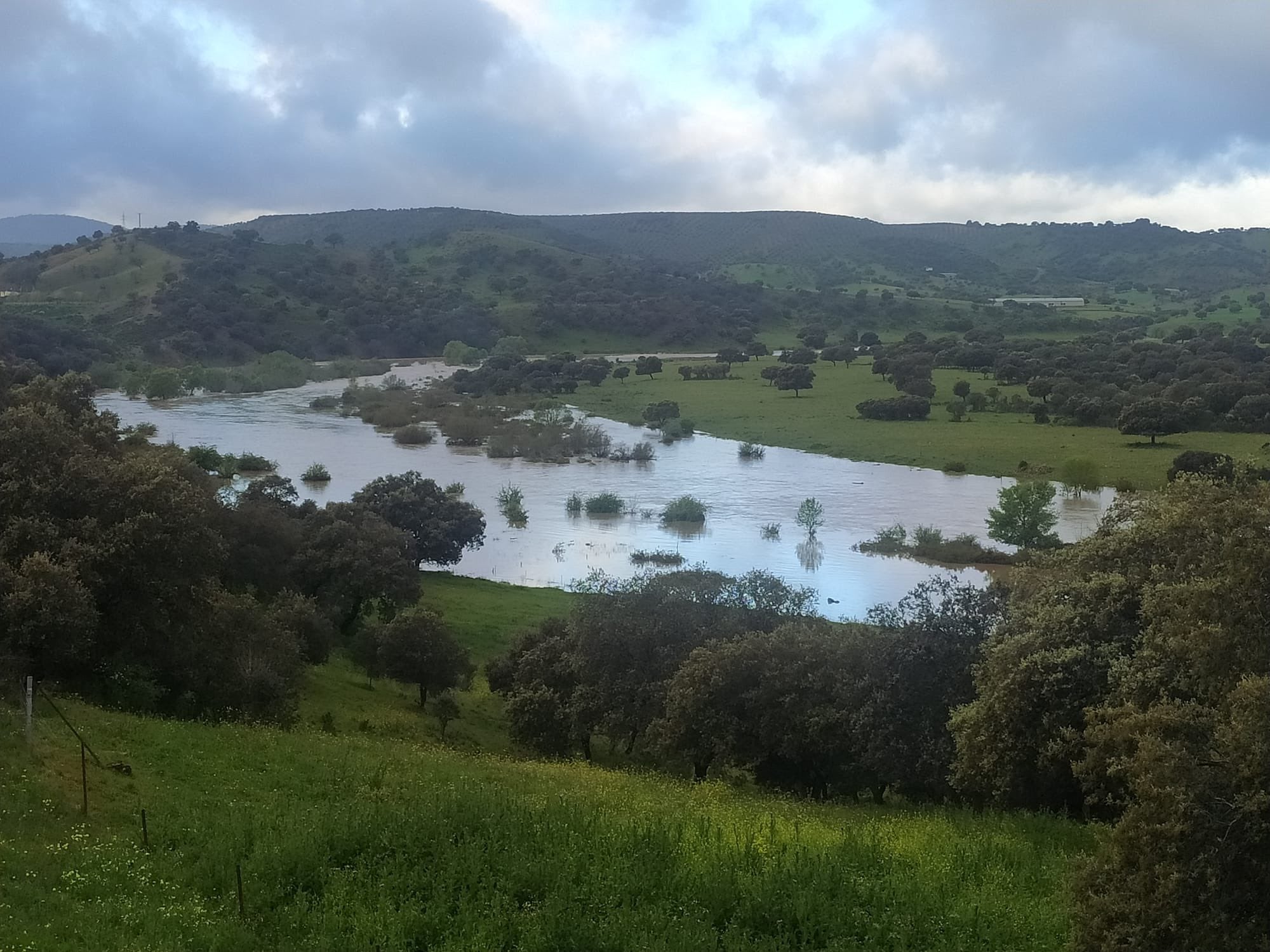 Los embalses de Ciudad Real ganan otros 32 hm3 y están ya al 66% Los embalses de Ciudad Real ganan otros 32 hm3 y están ya al 66%