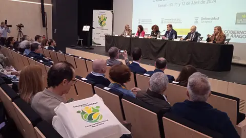 El Congreso Internacional de Educación y Diversidad se celebra en el auditorio de San Julián CAJA RURAL