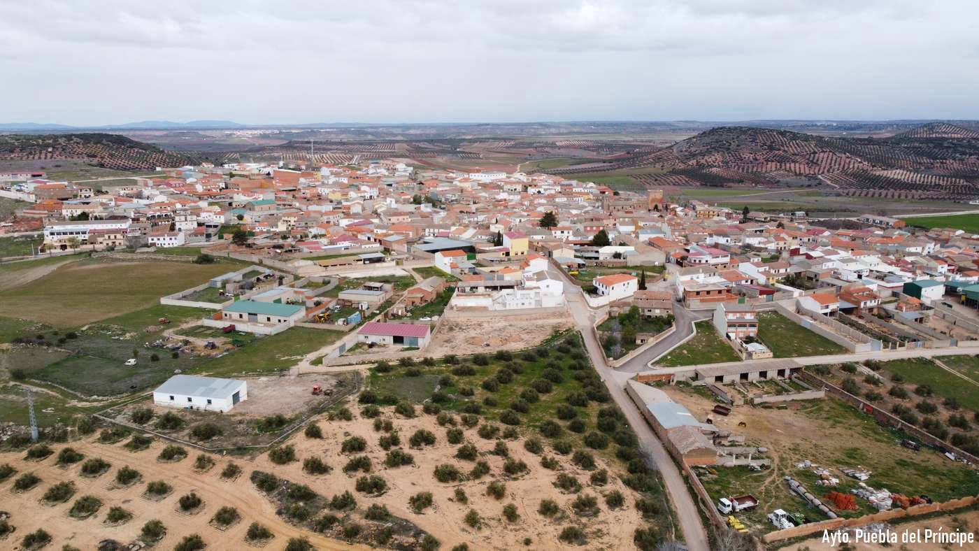 Investigado un vecino de Puebla del Príncipe investigado por matar, supuestamente, a los gatos de su vecina Investigado un vecino de Puebla del Príncipe investigado por matar, supuestamente, a los gatos de su vecina