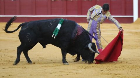Bocanegra