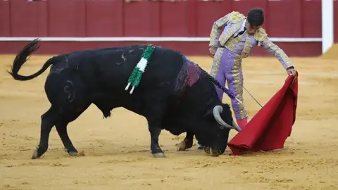 Bocanegra Bocanegra