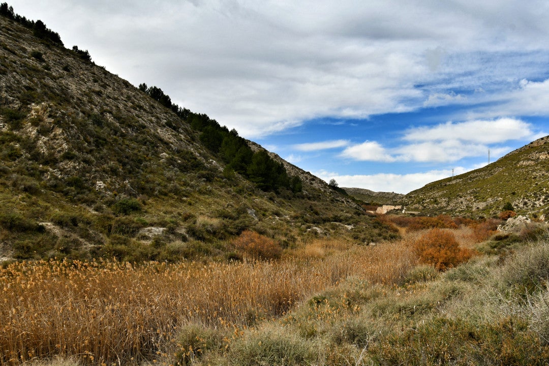 Elda apremia a la Generalitat la declaración del Pantano como Paraje Natural Municipal Elda apremia a la Generalitat la declaración del Pantano como Paraje Natural Municipal
