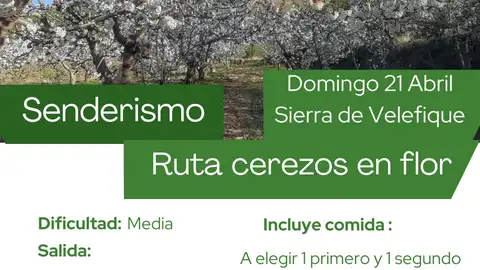 velefique-cerezos velefique-cerezos