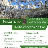velefique-cerezos velefique-cerezos